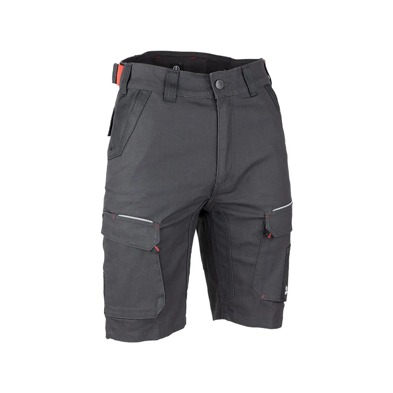 Bermuda PALEO/GRABEN/LAVIS