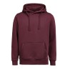 UM Sweatshirt Capuche