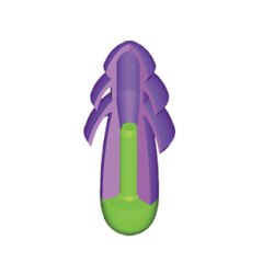 Bouchons d'oreilles réutilisables lavables