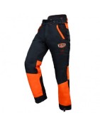 Bucherons / forestiers